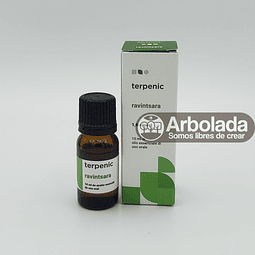 AE - Ravintsara BIO Terpenic -10ml