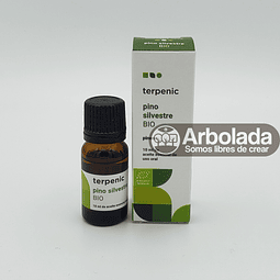 AE - Pino Silvestre BIO Terpenic - 10ml 