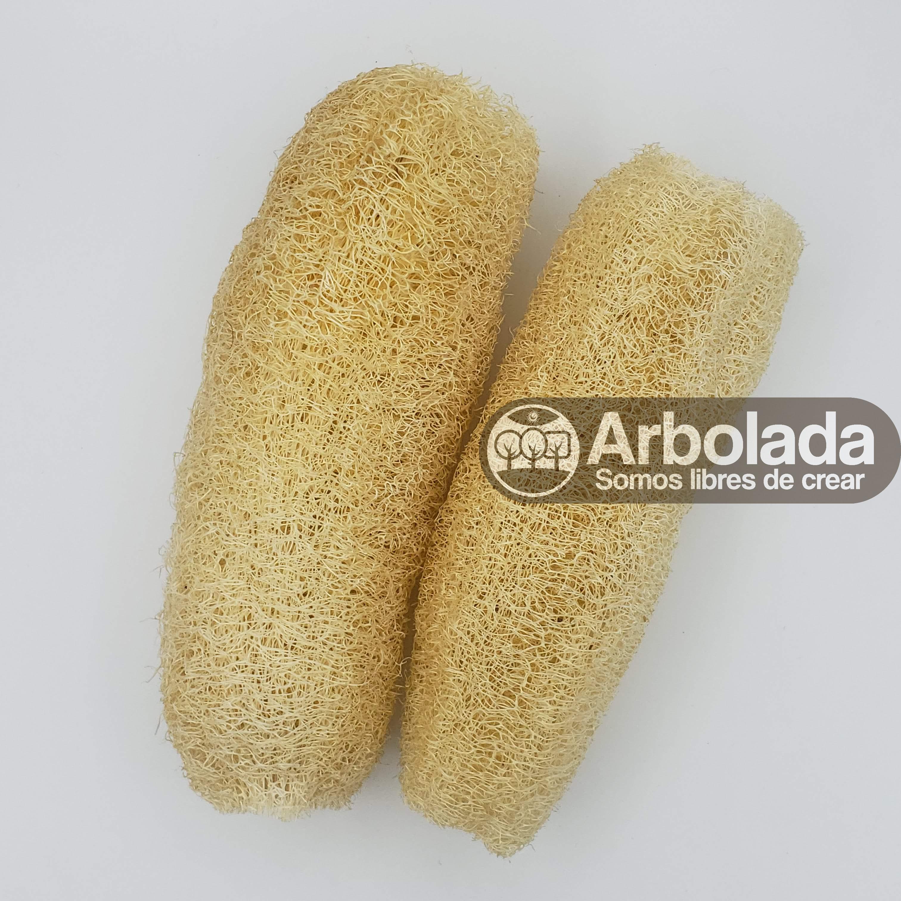 Luffa