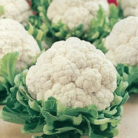 Cauliflower seeds