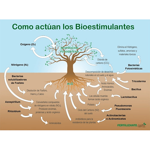 Bioestimulante Vegetal 500 Cc