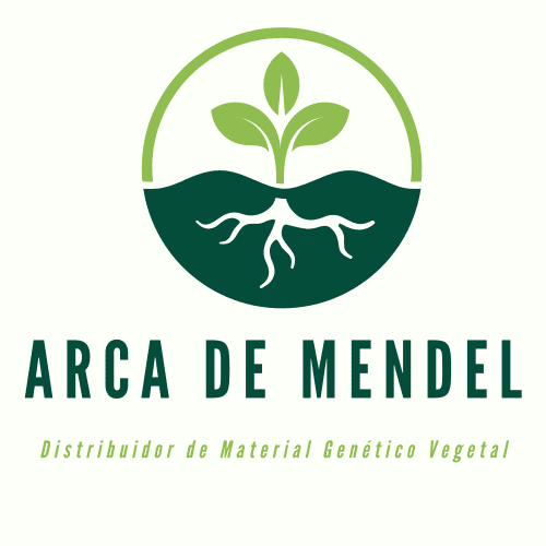 Arca De Mendel