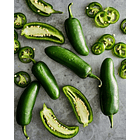 Semillas Jalapeño 2