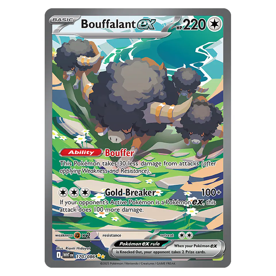 Pokemon White Flare - Binder Collection [INGLÉS - ESPAÑOL] 9