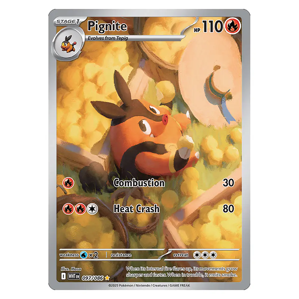 Pokemon White Flare - Binder Collection [INGLÉS - ESPAÑOL] 19