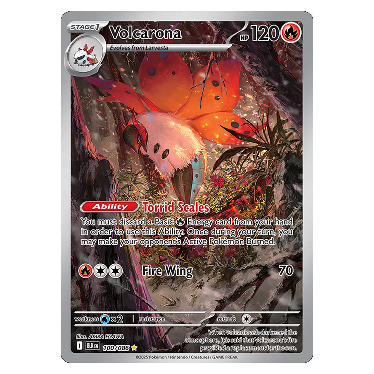 Pokemon Black Bolt - Booster Bundle [INGLÉS - ESPAÑOL] 14