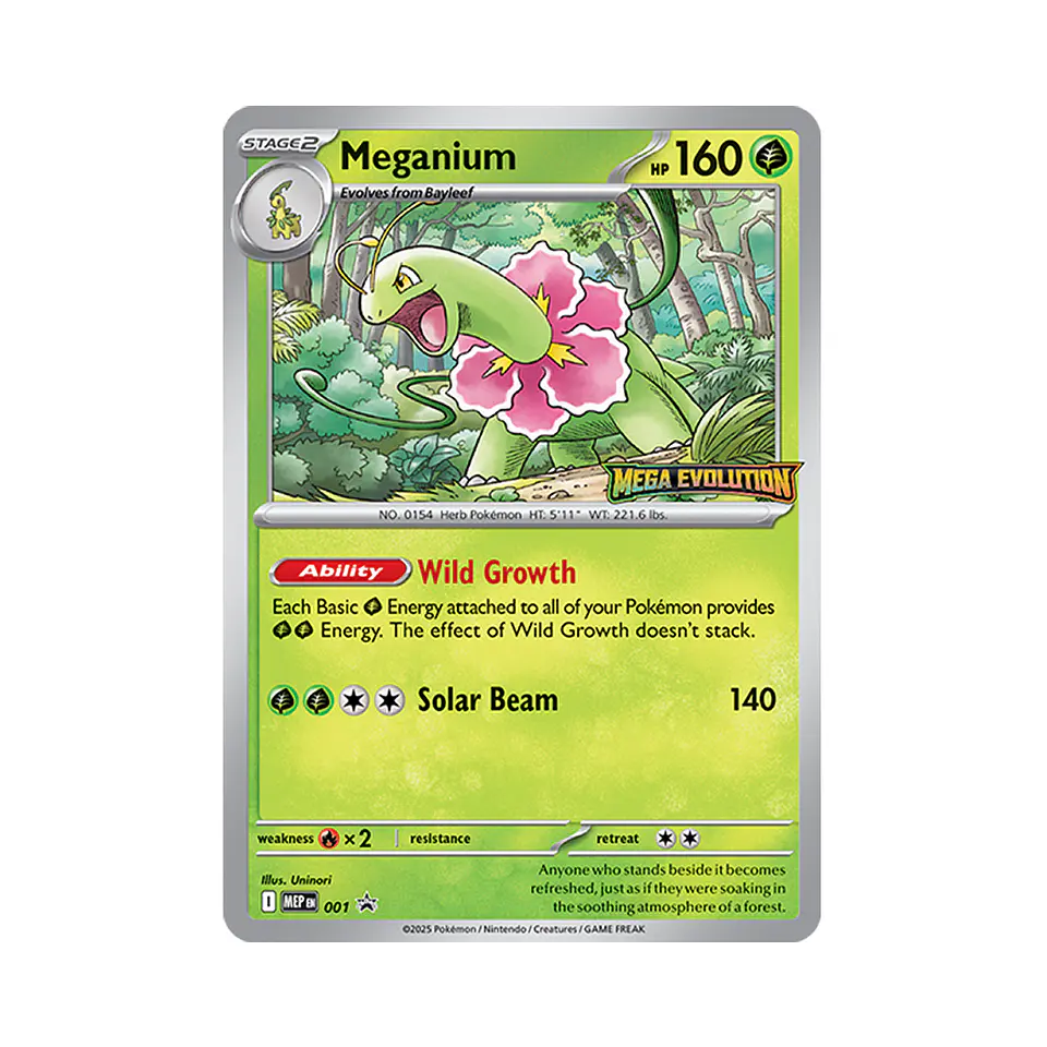 Pokemon Mega Evolution - Build & Battle Box [INGLÉS] 5