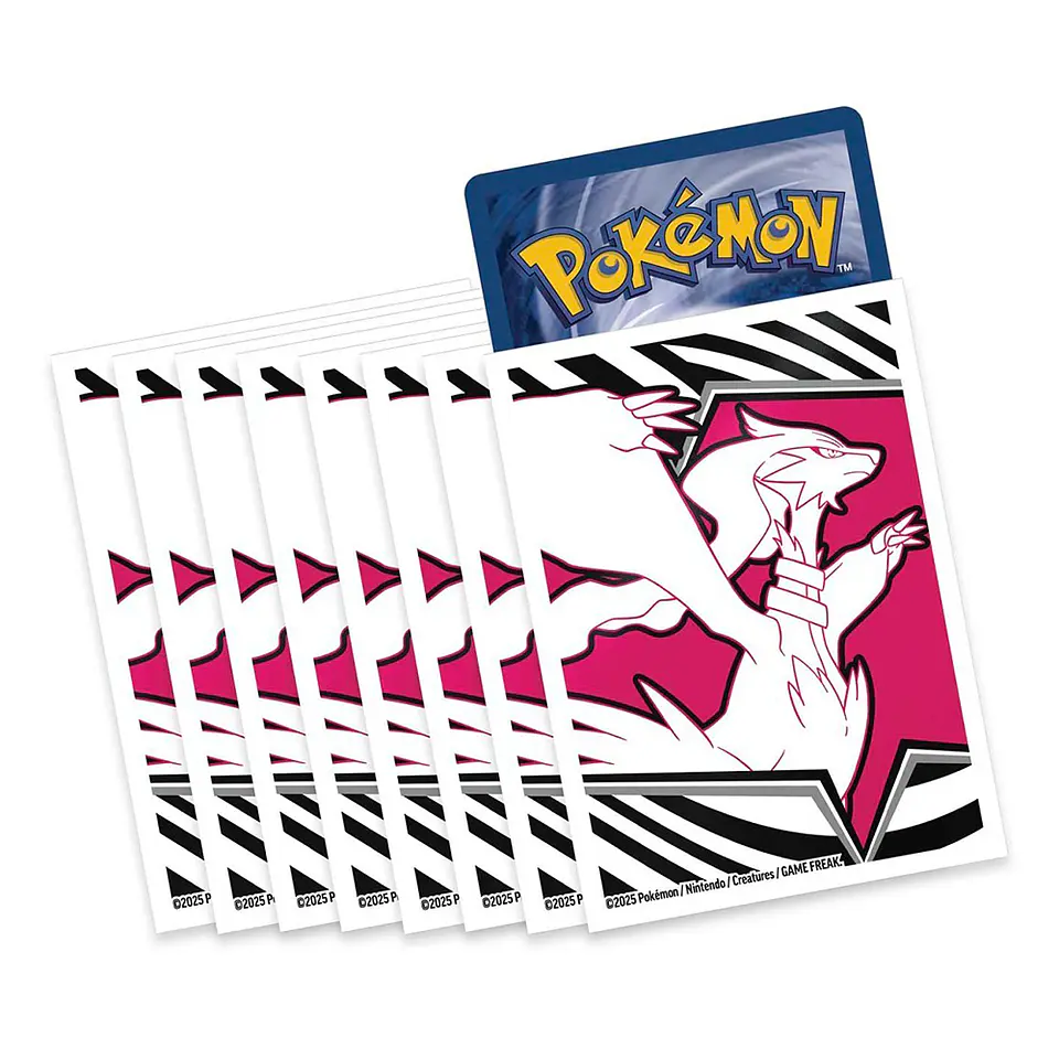 Pokemon White Flare - Elite Trainer Box [INGLÉS - ESPAÑOL] 5