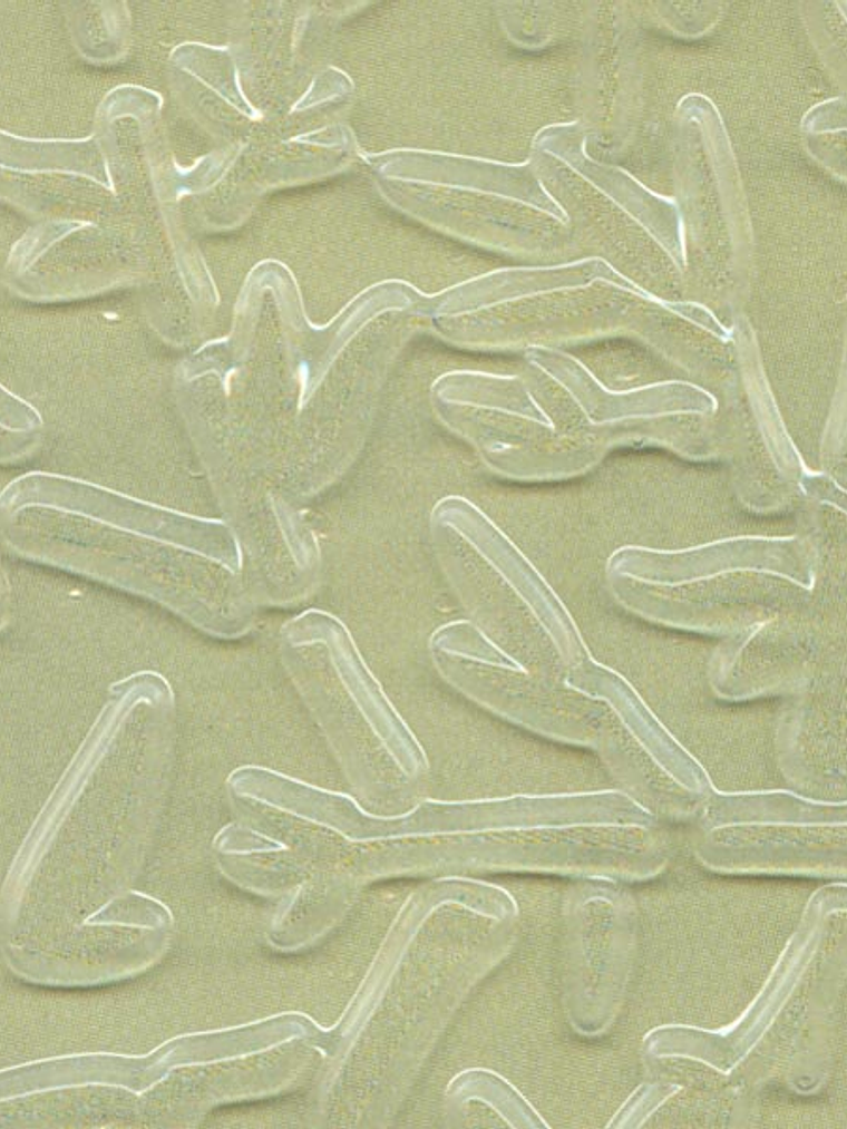 Plano textura flexible - Bambú 2