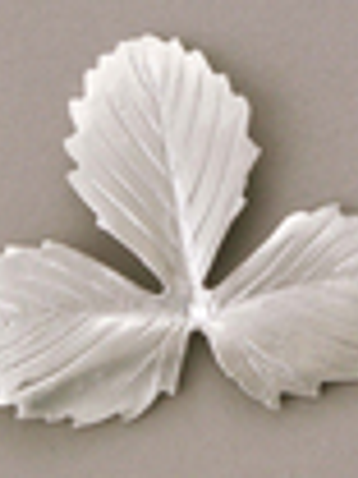 Molde silicona hoja tipo A - Fresa Silvestre 3