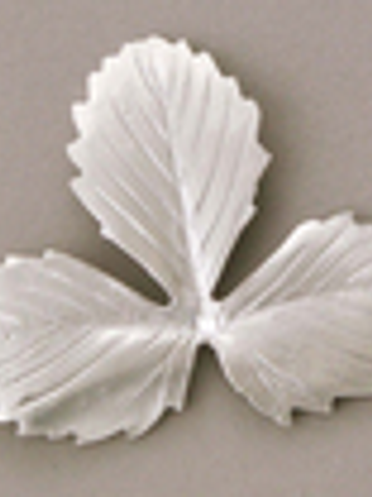 Molde silicona hoja tipo A - Fresa Silvestre 3