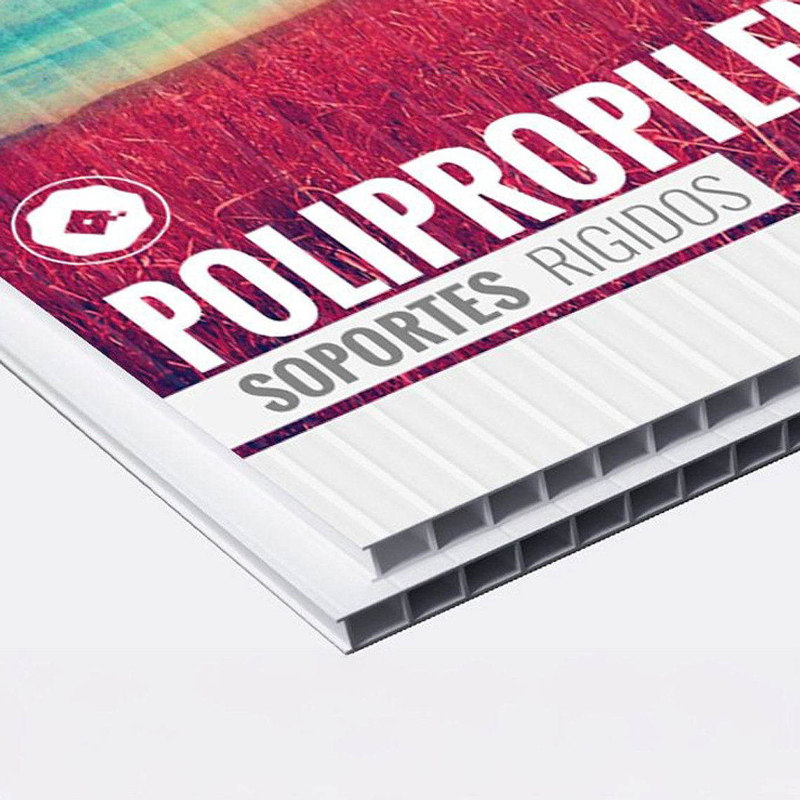 Plancha Alveolar 4mm - 1,22x2,44m ( 10 plancha x caja) 1