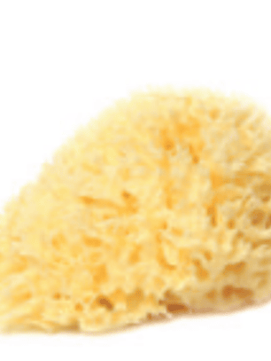 Esponja de Banho - Bellini