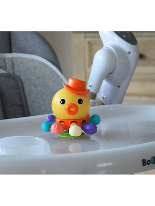 Polvo Engraçado - Bo Jungle 