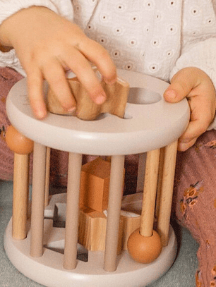 Roda de Encaixe de Formas em Madeira – Label Label