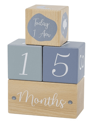 Wooden Milestone Blocks – Blocos de Madeira para Registar o Crescimento