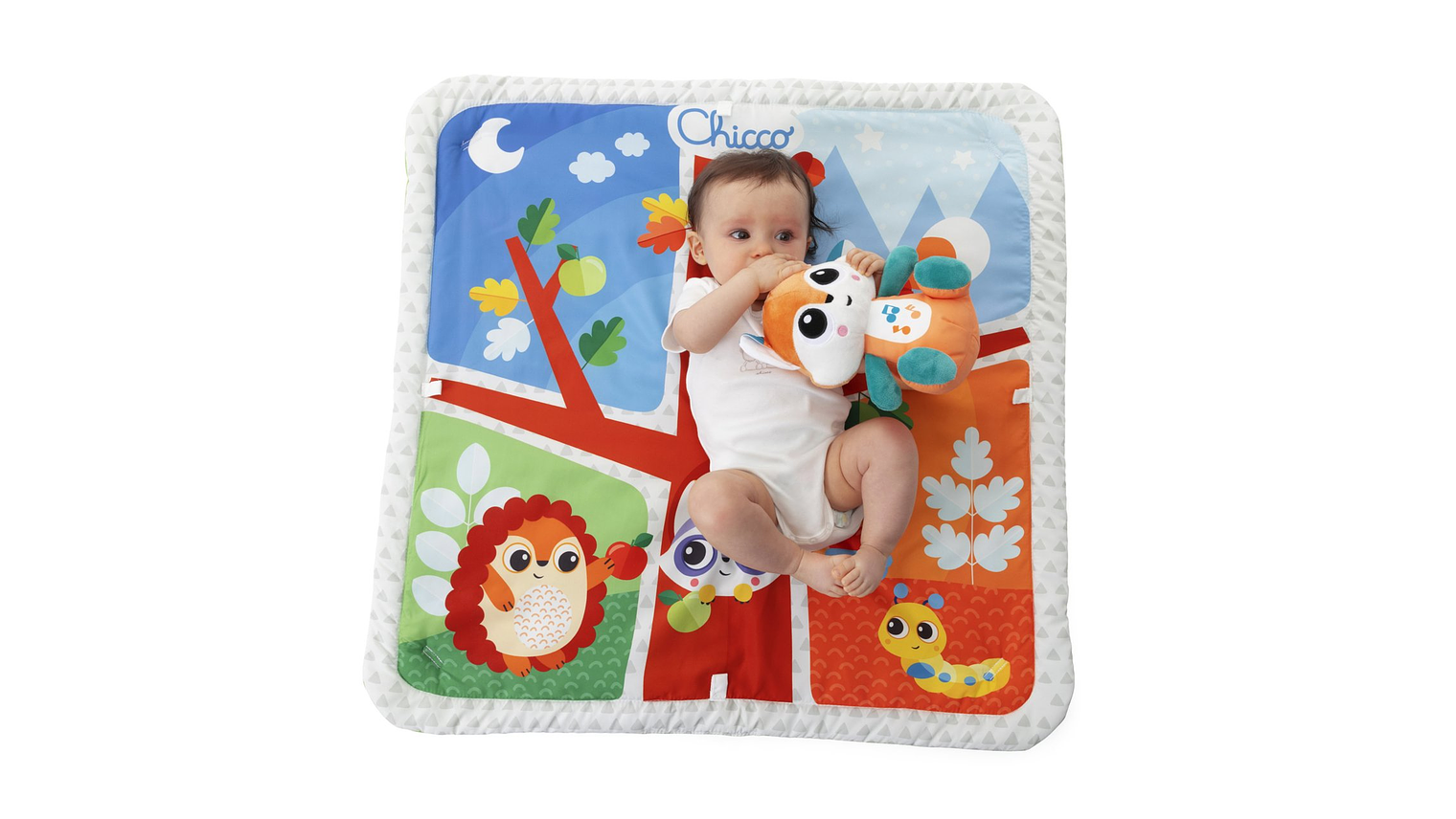 FLORESTA MÁGICA RELAX & GINÁSIO CHICCO 0+ 4