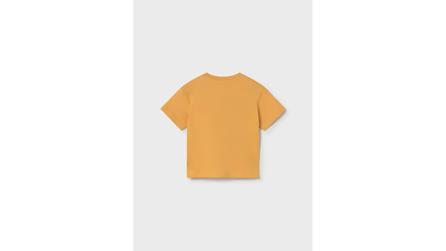 CAMISETA LENTICULAR 2