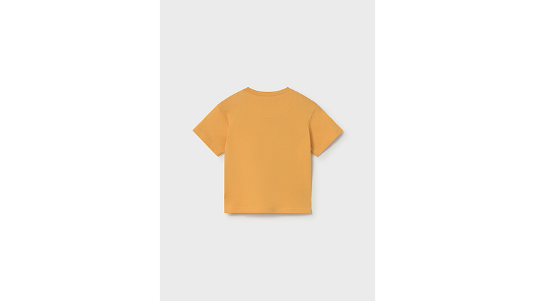 CAMISETA LENTICULAR 2