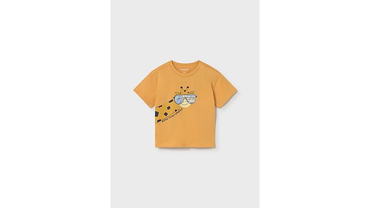 CAMISETA LENTICULAR 1