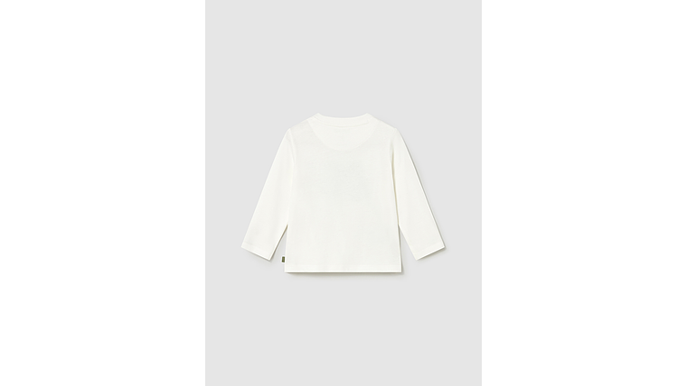 CAMISOLA APLICAÇÕES 2