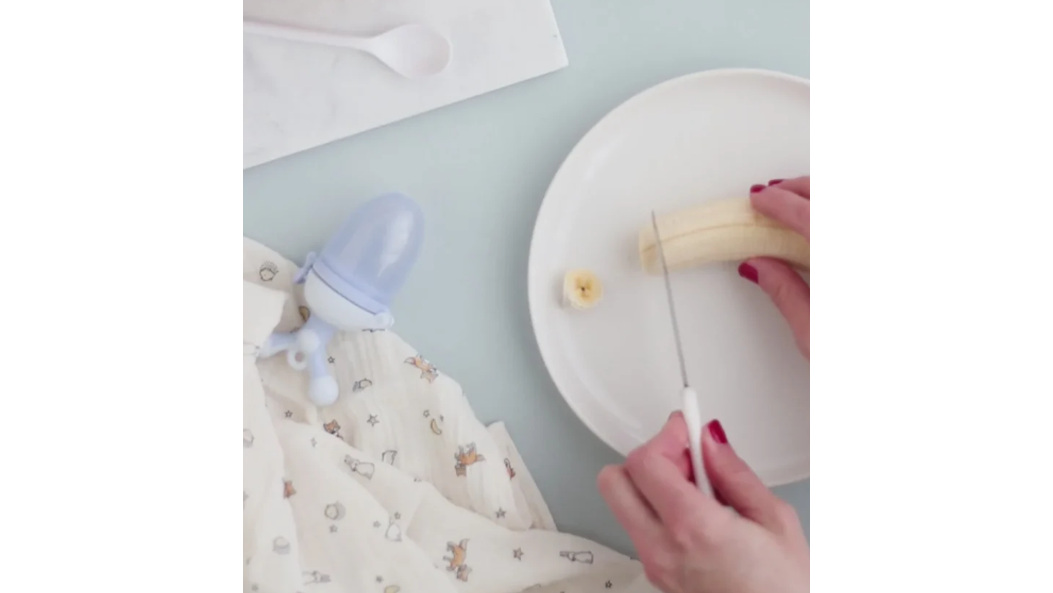 ALIMENTADOR SARO 6M+ 3