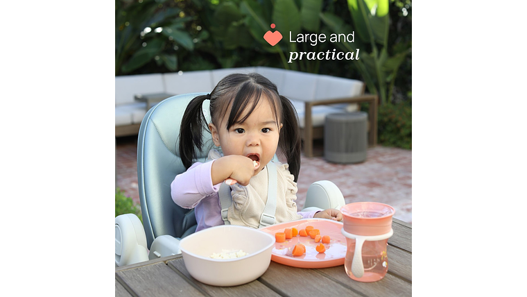 CONJUNTO DE PAPA ROSA CHICCO 12M+ 7