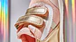 SAPATO METALCINZA BAREFOOT BIOMECANICS 19-23 - Thumbnail 1