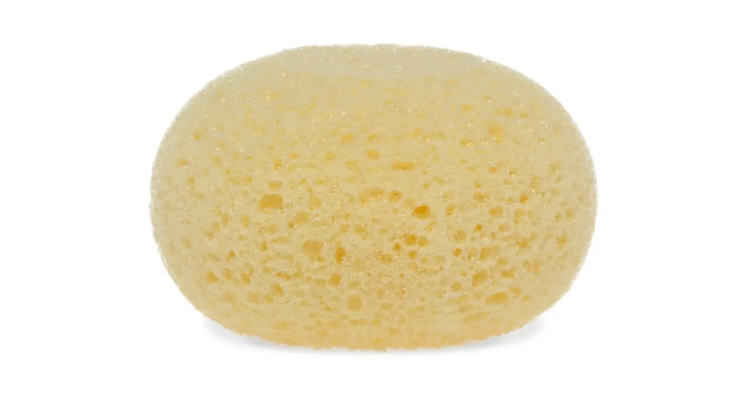 ESPONJA HIDRÓFILA  2