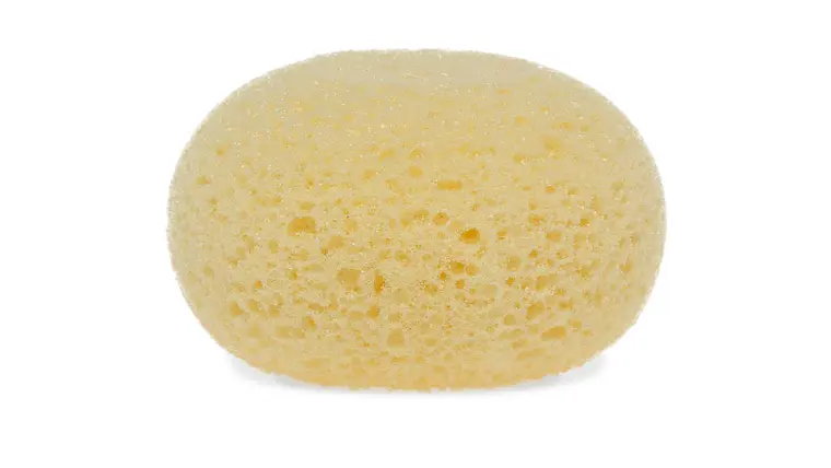 ESPONJA HIDRÓFILA  2