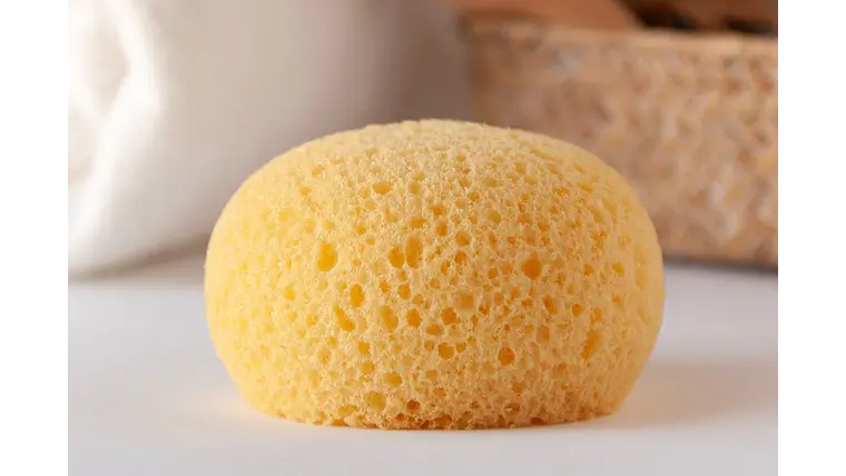 ESPONJA HIDRÓFILA  1