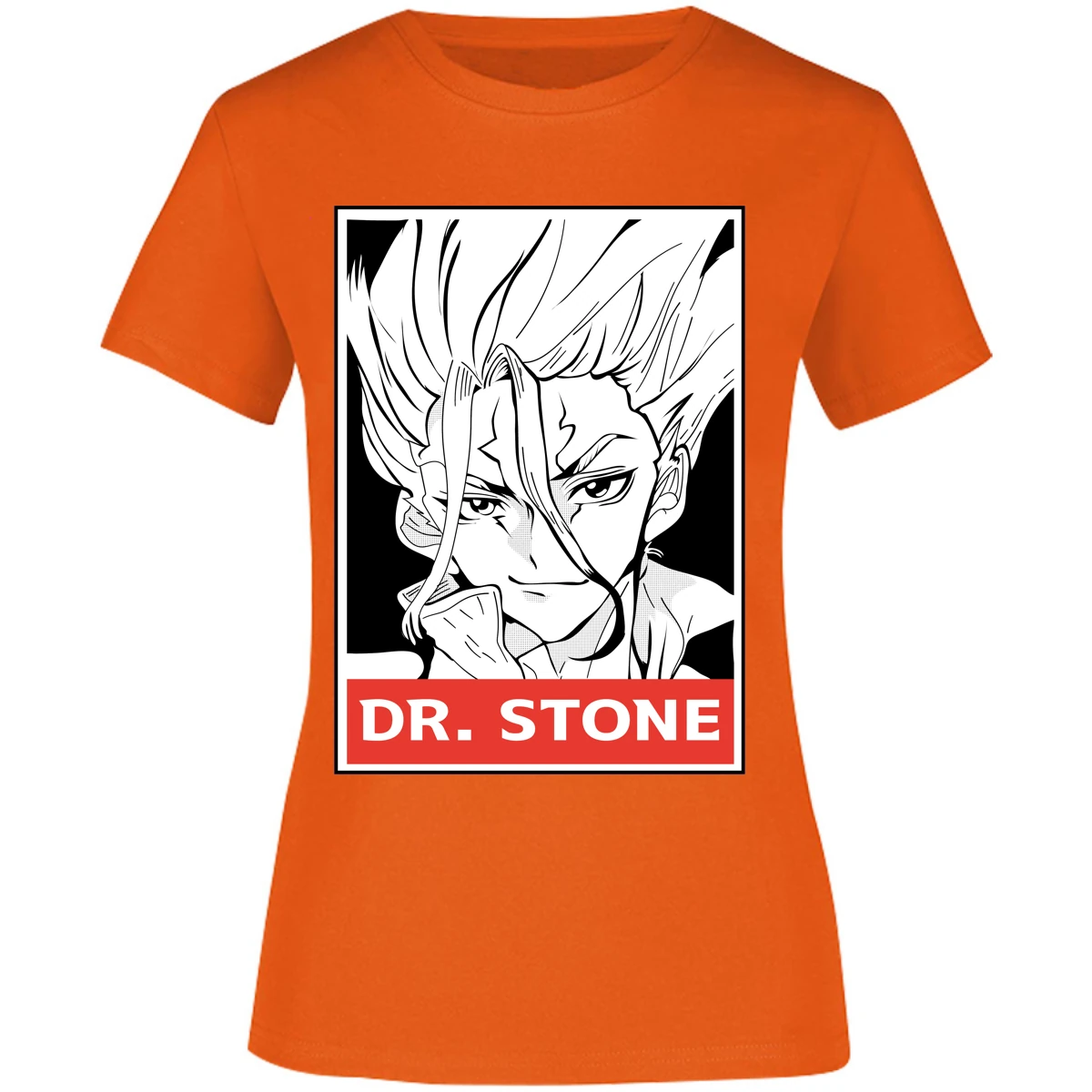Dr Stone