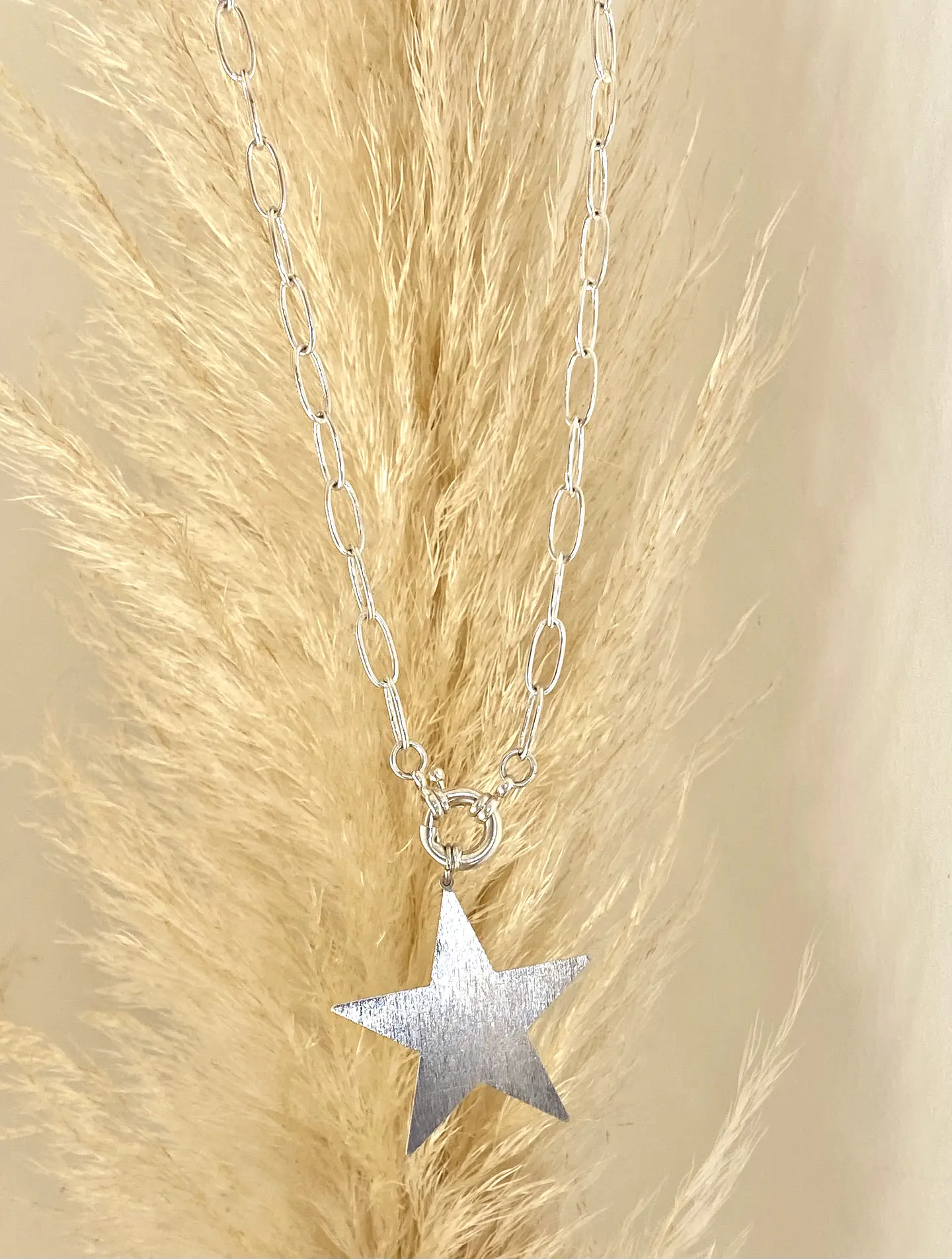 Collar Maxi Estrella silver  4