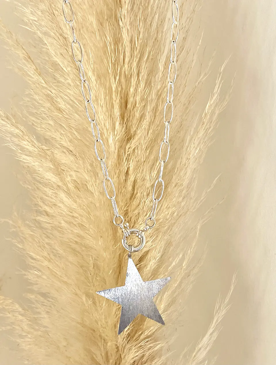 Collar Maxi Estrella silver  4