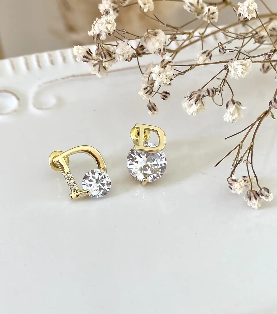 Aros Inspo Dior circones  3