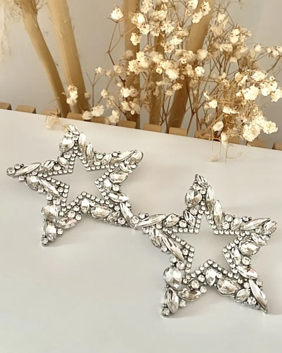 Maxi Aros Estrella Strass Silver 4