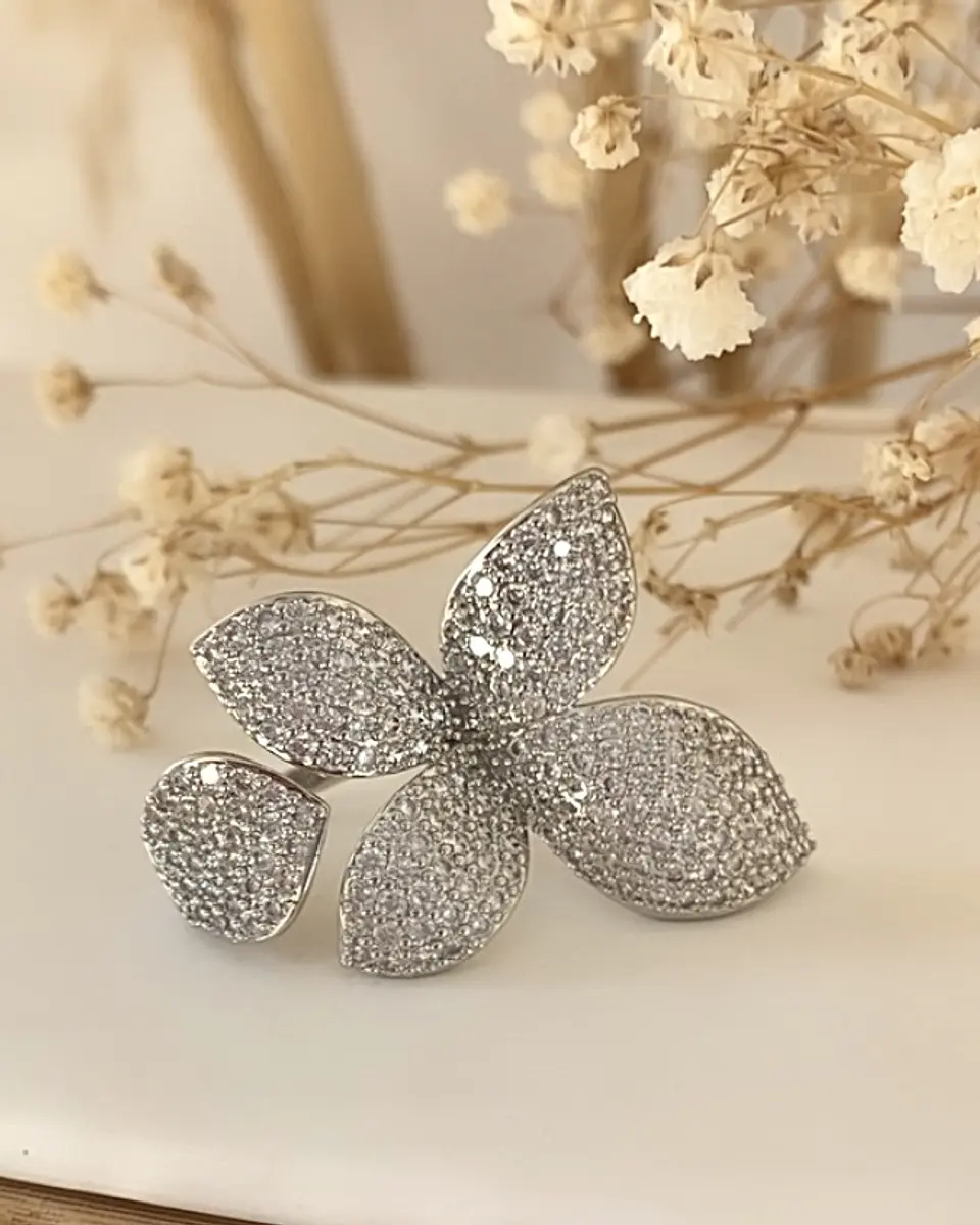 Maxi Anillo Mariposa Circones Silver 2