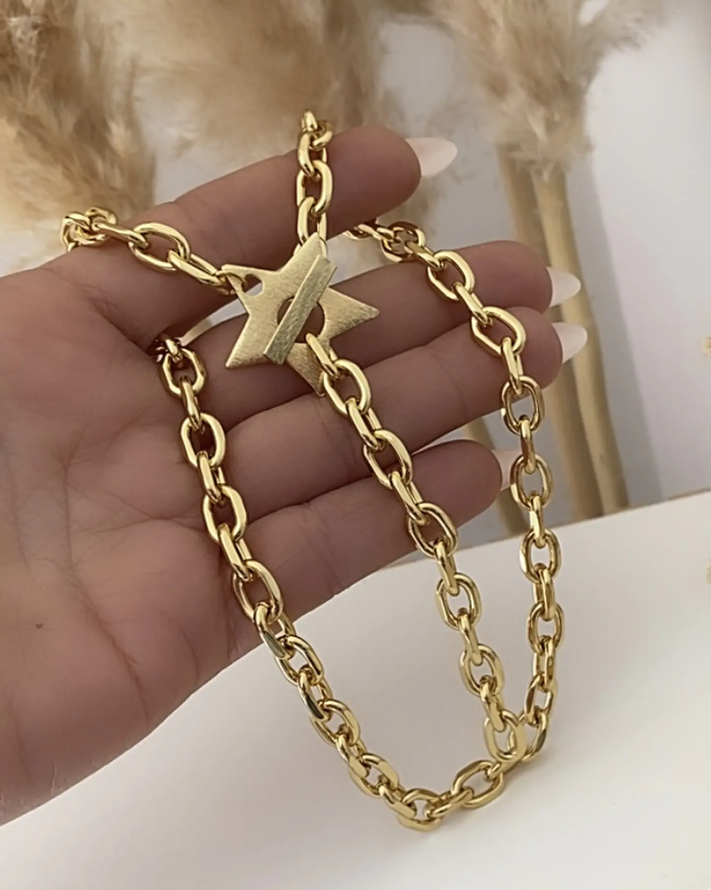 Collar Broche Estrella Lijada Gold  4