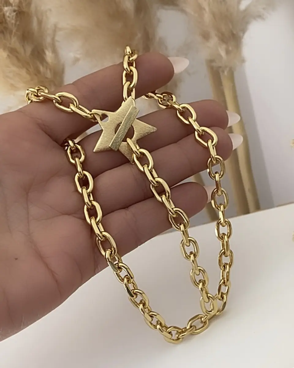 Collar Broche Estrella Lijada Gold  4