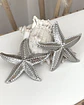 Aros Maxi Estrella de Mar Silver - Miniatura 1