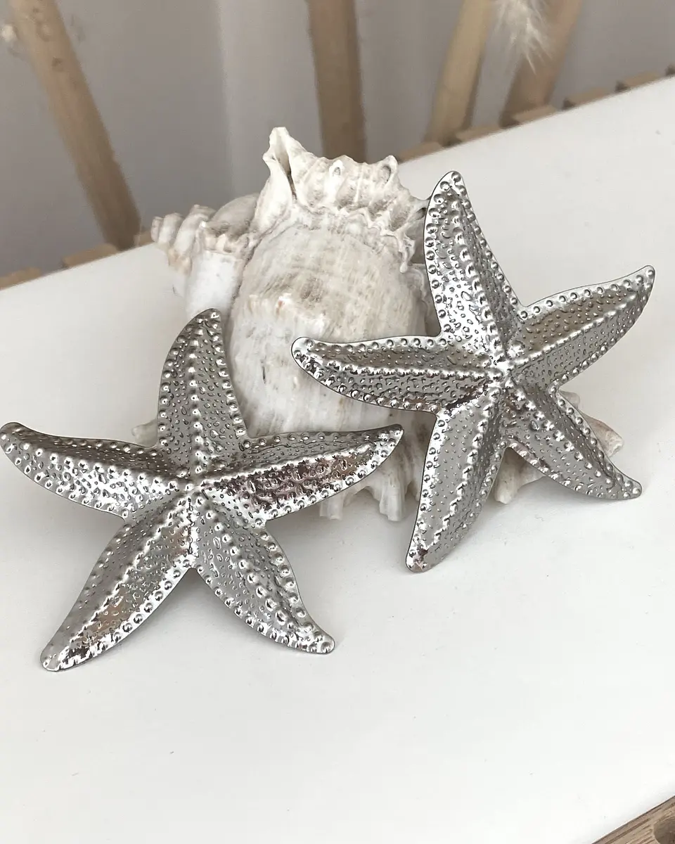 Aros Maxi Estrella de Mar Silver 1