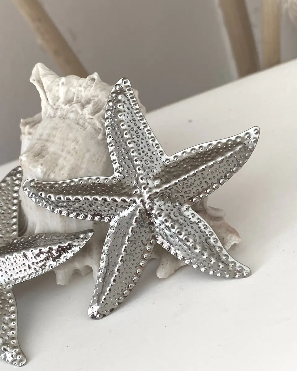 Aros Maxi Estrella de Mar Silver 2