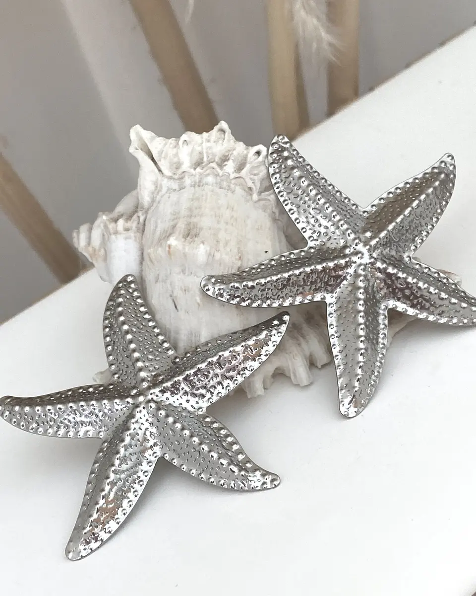 Aros Maxi Estrella de Mar Silver 3
