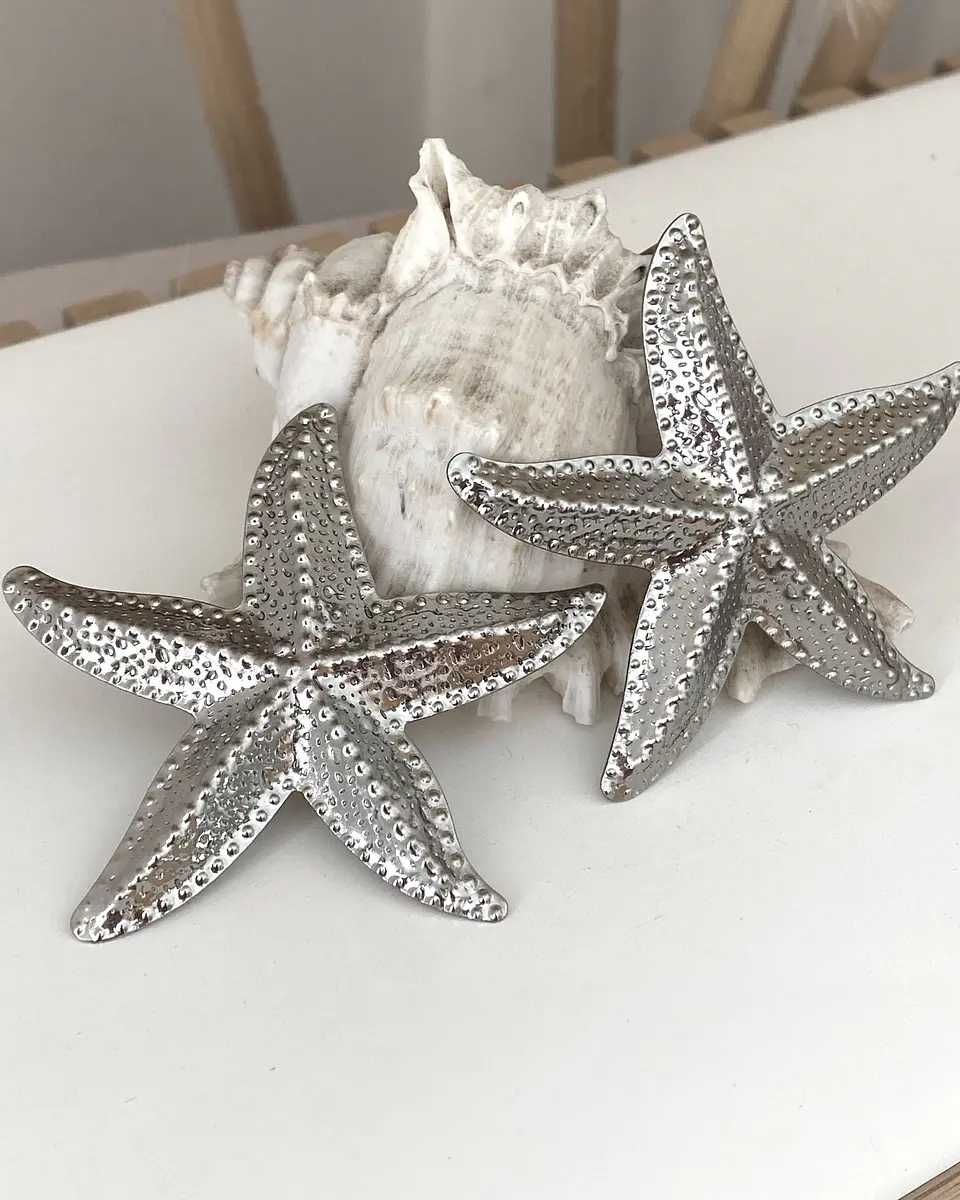 Aros Maxi Estrella de Mar Silver 6