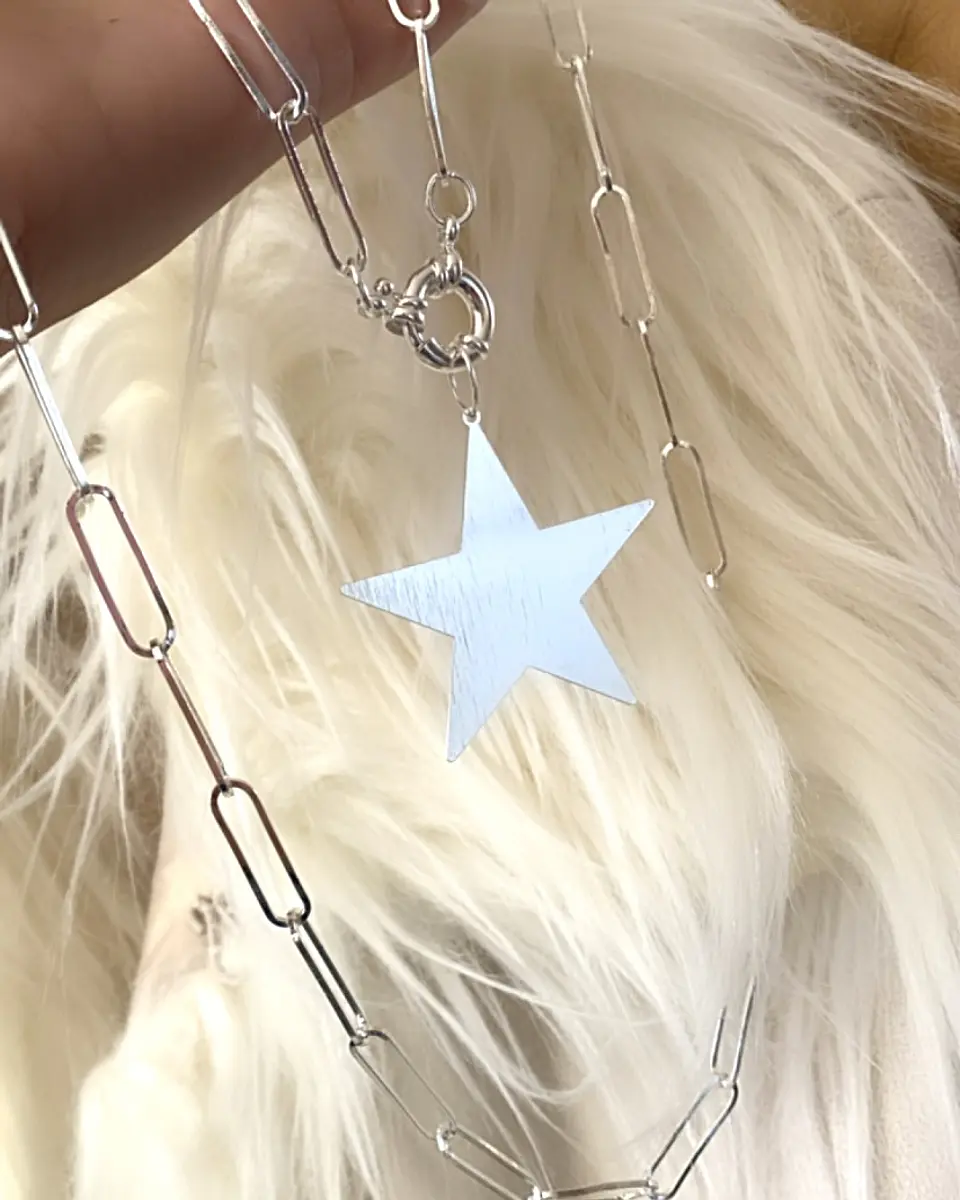 Collar XL Maxi Estrella Lijada Silver   4