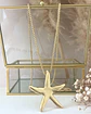 Collar XL Maxi Estrella Marina Gold - Miniatura 4
