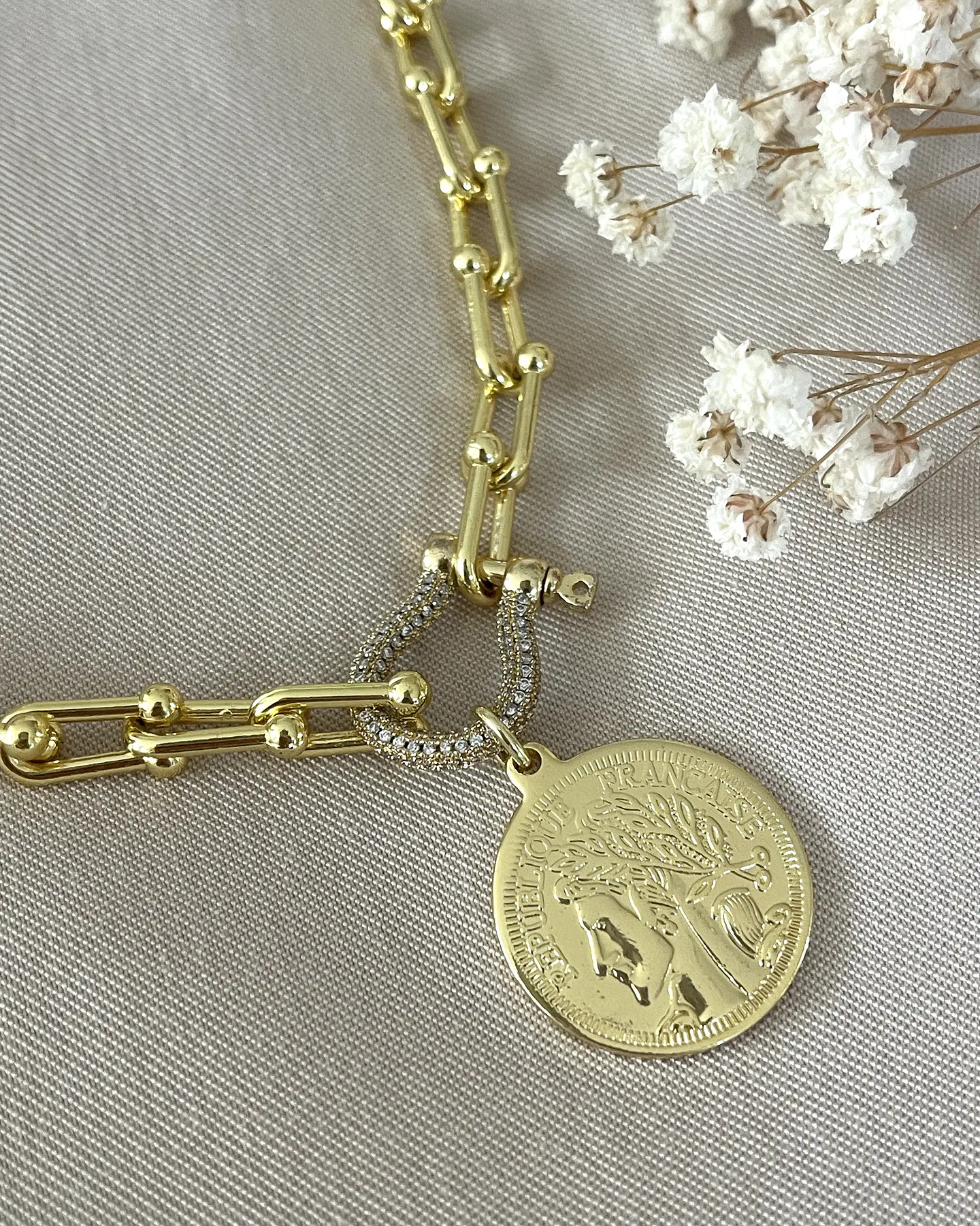 Collar Medalla Francesa Eslabones Tiffany conector Luxury gold 1