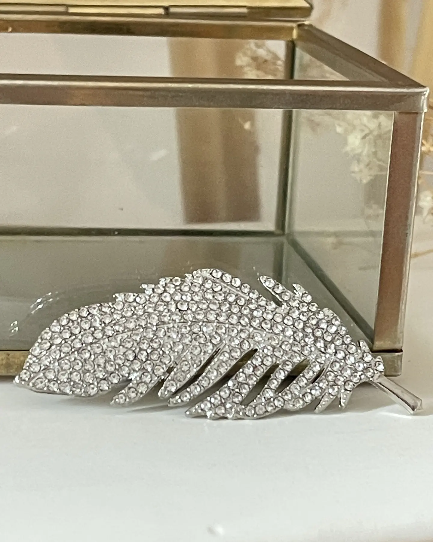 Broche Feather Strass Silver 5