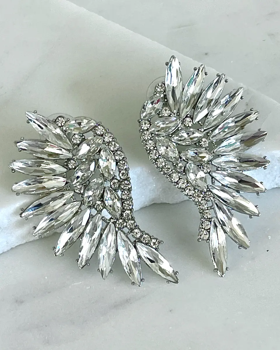 Aros Maxi Alas Cristal Silver 6