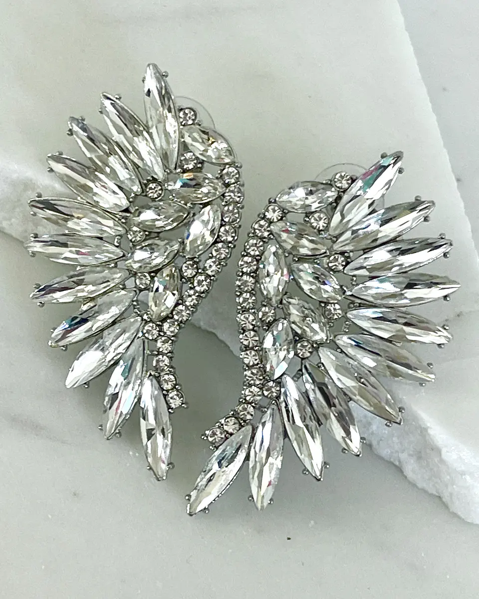 Aros Maxi Alas Cristal Silver 2